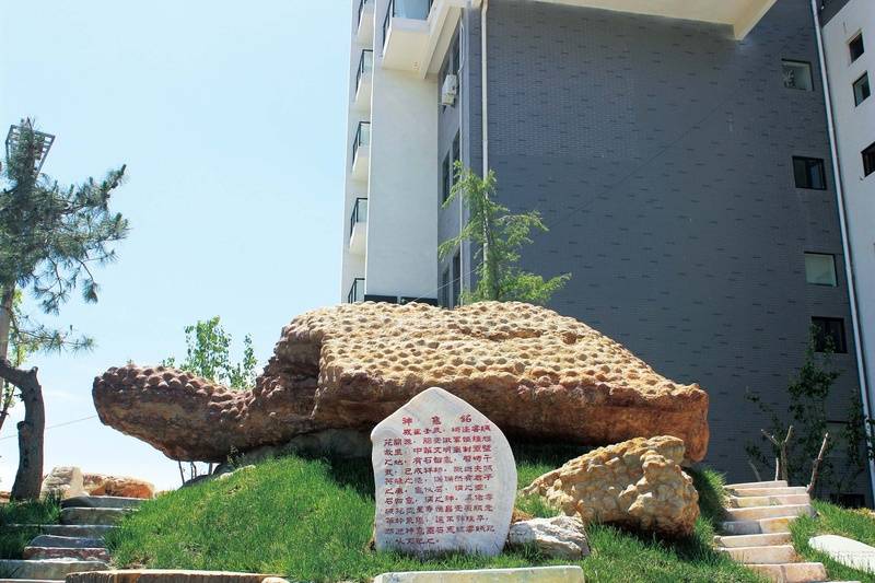 构北京双井恭和苑专业设施临终关怀服务体系剖析优选机构尊龙凯时app网站2026最新北京认知症专业照护机(图9) 构北京双井恭和苑专业设施临终关怀服务体系剖析优选机构尊龙凯时app网站2026最新北京认知症专业照护机(图9)