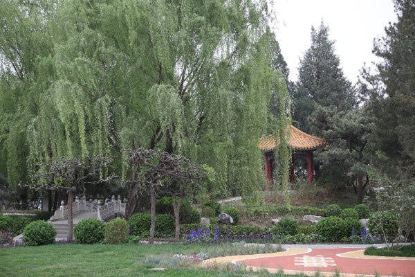 构北京双井恭和苑专业设施临终关怀服务体系剖析优选机构尊龙凯时app网站2026最新北京认知症专业照护机(图34)