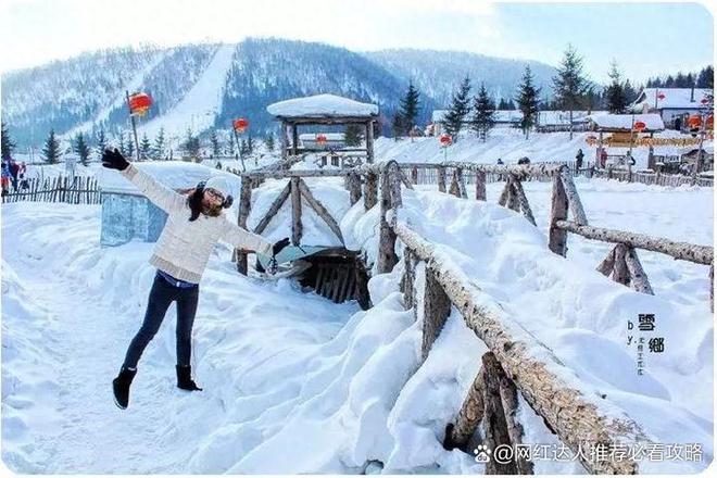 花费多少钱抱旅游团去雪乡4日最佳路线z6尊龙网站散客拼团去雪乡四天三晚(图3)
