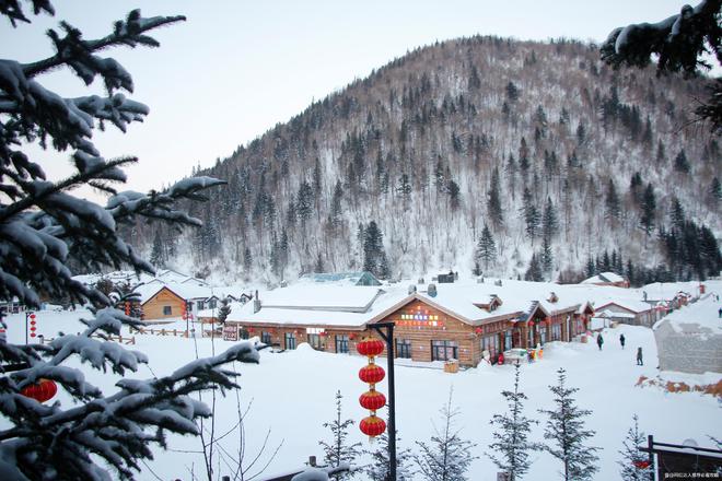 花费多少钱抱旅游团去雪乡4日最佳路线z6尊龙网站散客拼团去雪乡四天三晚(图6)